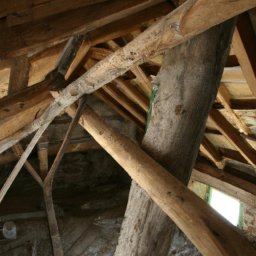 La charpente bois : techniques et savoir-faire du charpentier à La Garde